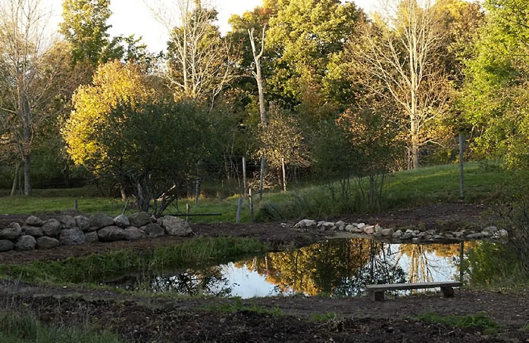 Green Dragon Organic Farm And B&B-1