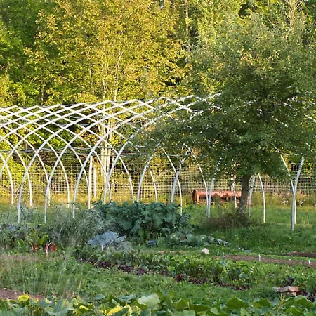 Green Dragon Organic Farm And B&B-3